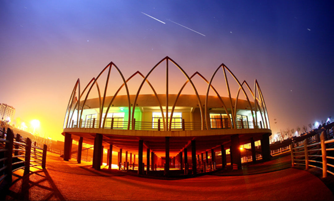 聊城莲花广场活动策划案例